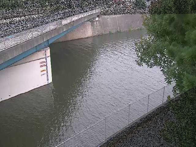 境川橋付近のカメラ画像