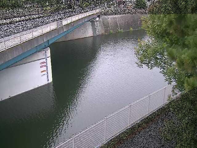 境川 境川橋付近のカメラ画像