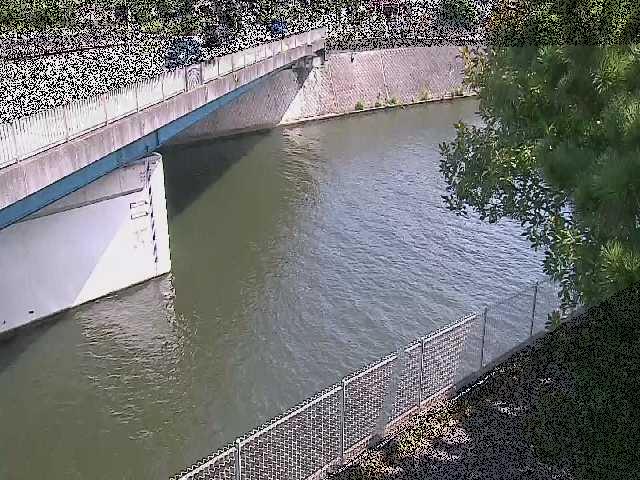 境川 境川橋付近のカメラ画像