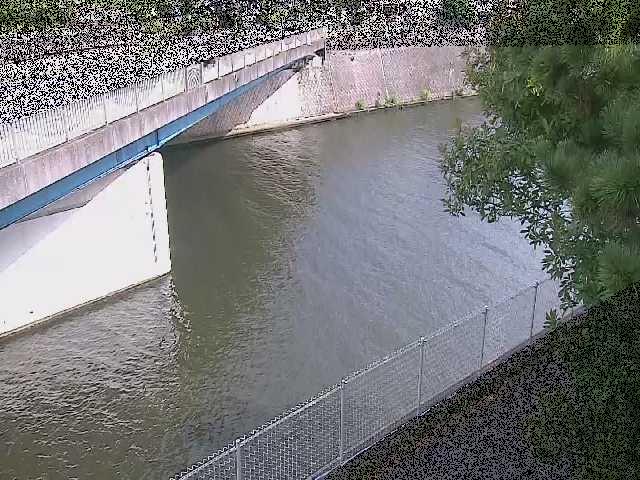 境川 境川橋付近のカメラ画像