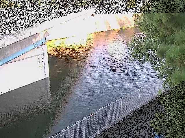 境川 境川橋付近のカメラ画像