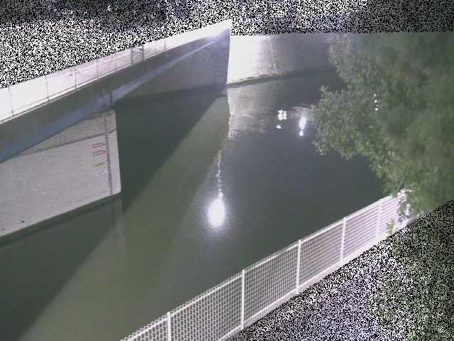 境川 境川橋付近のカメラ画像