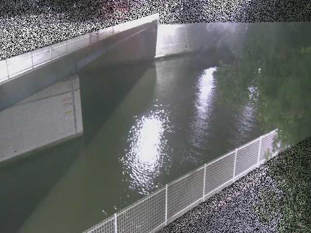 境川 境川橋付近のカメラ画像