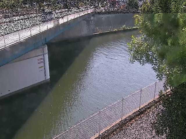 境川 境川橋付近のカメラ画像