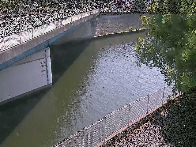 境川橋付近のカメラ画像