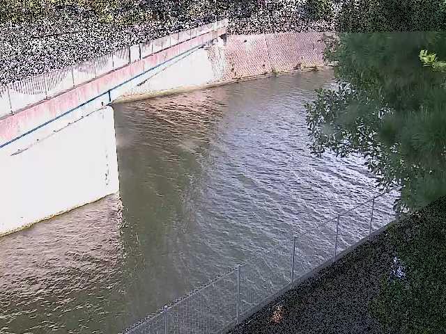 境川 境川橋付近のカメラ画像