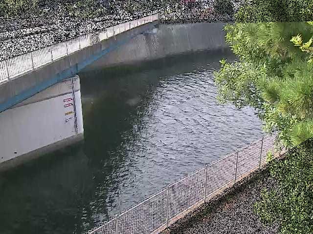 境川橋付近のカメラ画像