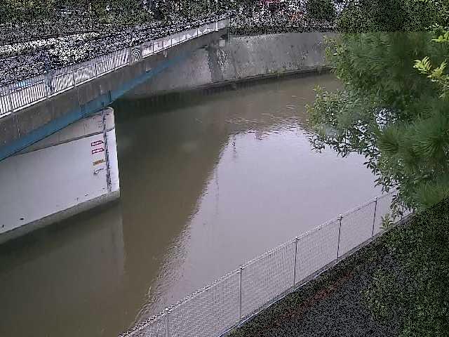 境川橋付近のカメラ画像