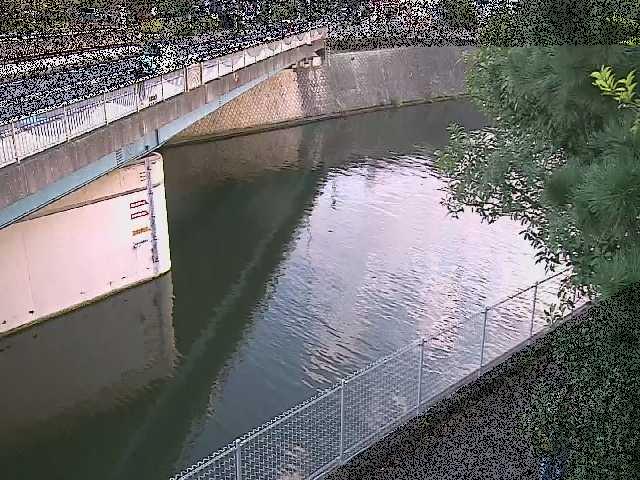境川 境川橋付近のカメラ画像