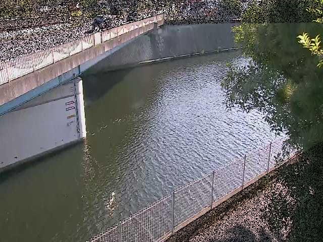 境川橋付近のカメラ画像