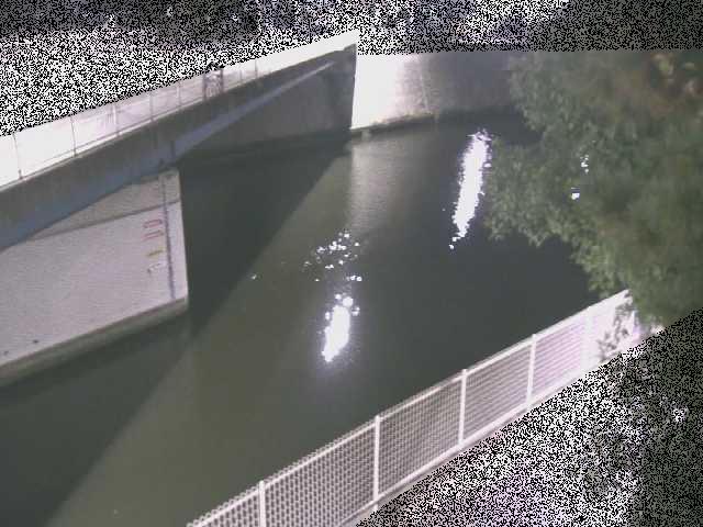 境川橋付近のカメラ画像