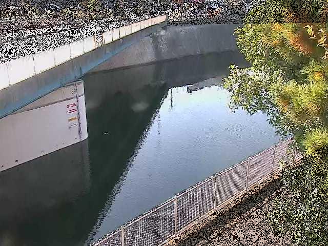 境川橋付近のカメラ画像