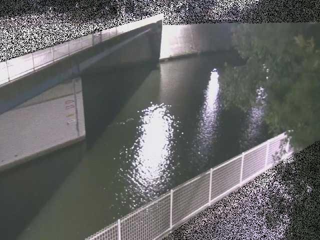 境川 境川橋付近のカメラ画像