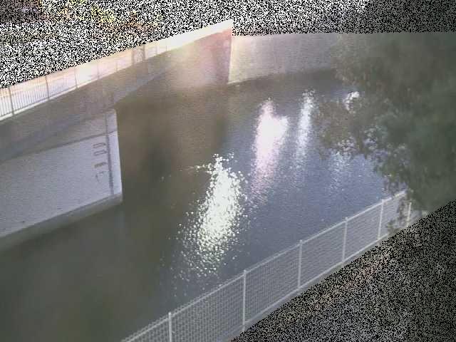 境川 境川橋付近のカメラ画像