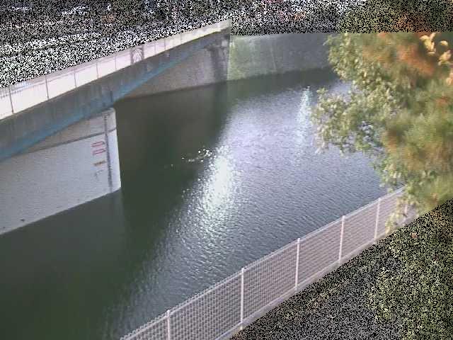 境川 境川橋付近のカメラ画像