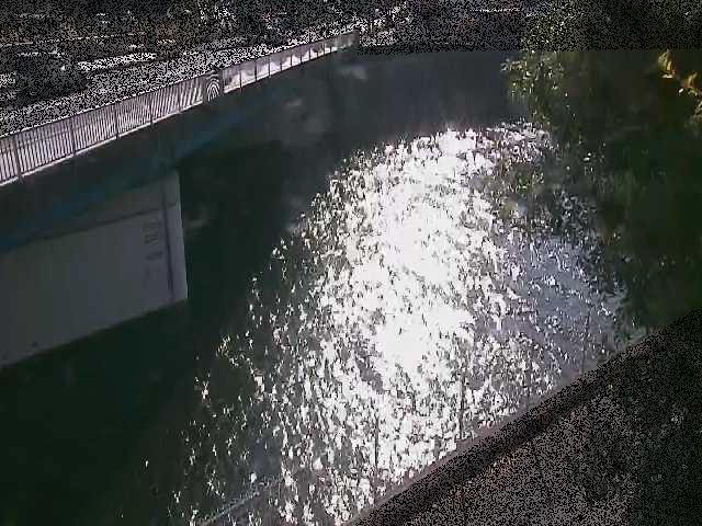 境川 境川橋付近のカメラ画像