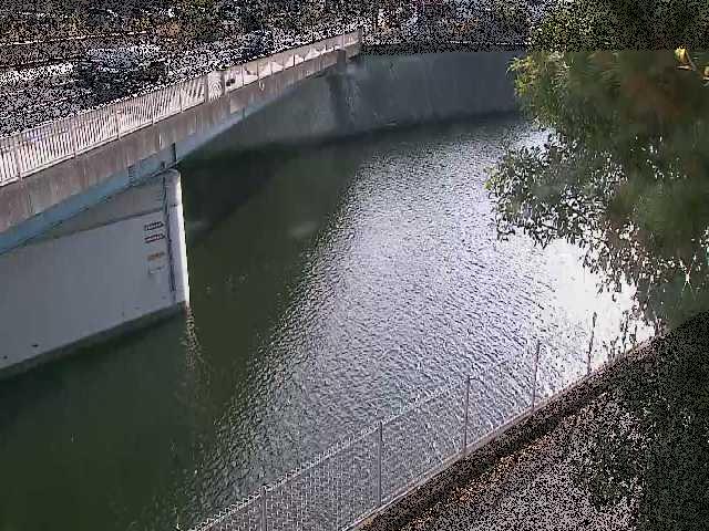 境川橋付近のカメラ画像