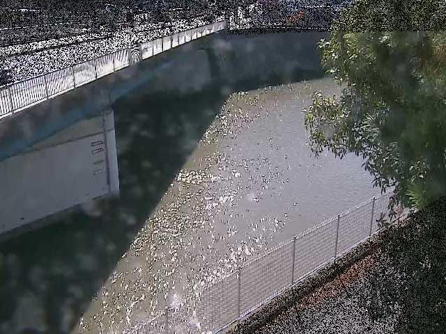 境川橋付近のカメラ画像