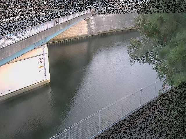 境川 境川橋付近のカメラ画像