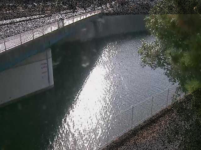 境川橋付近のカメラ画像
