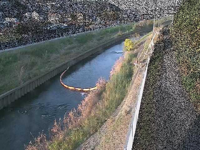 大清水橋付近のカメラ画像