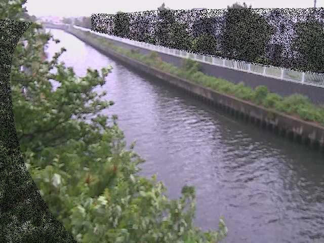 大平橋付近のカメラ画像