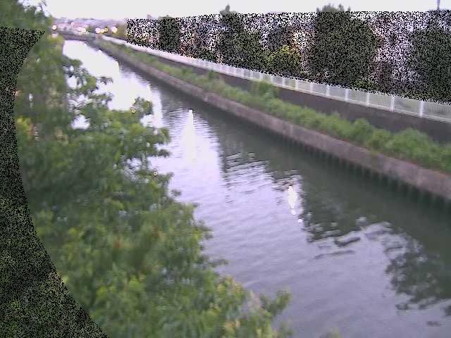 大平橋付近のカメラ画像