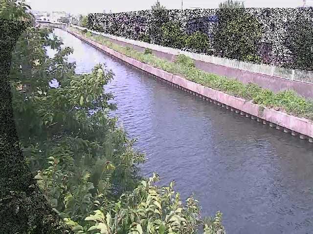 大平橋付近のカメラ画像