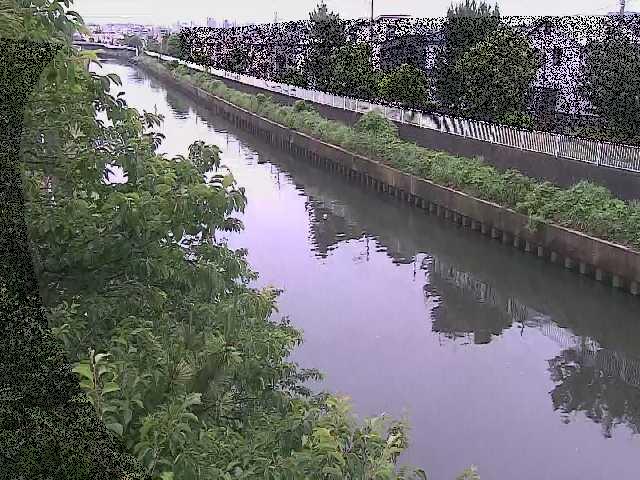 大平橋付近のカメラ画像