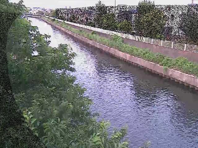 引地川 大平橋付近のカメラ画像