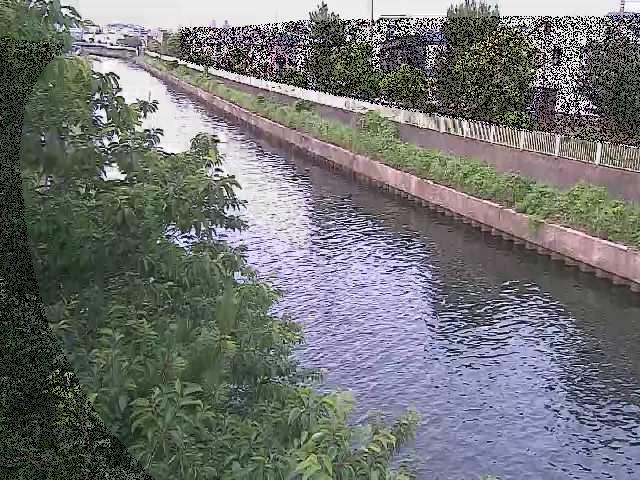 大平橋付近のカメラ画像