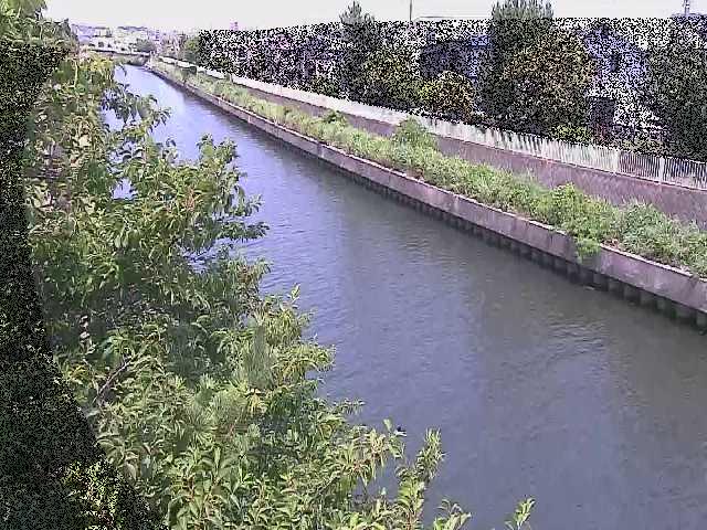 大平橋付近のカメラ画像