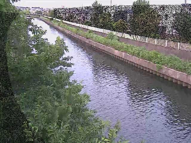 大平橋付近のカメラ画像
