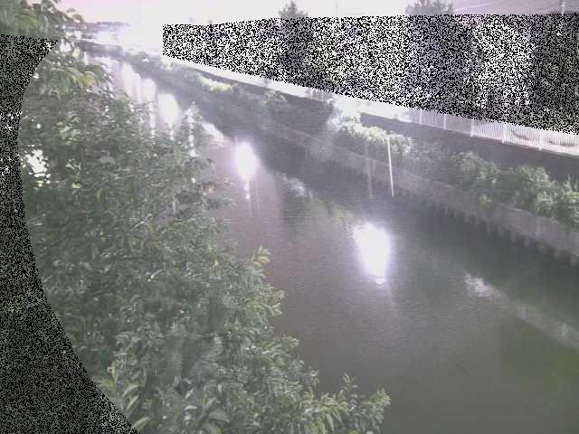 大平橋付近のカメラ画像