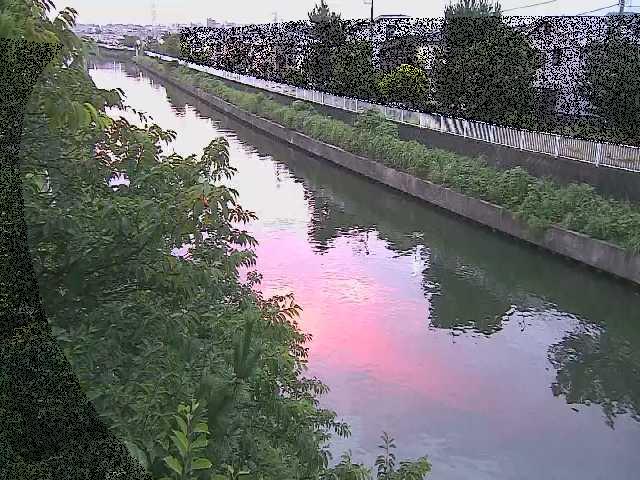 引地川 大平橋付近のカメラ画像