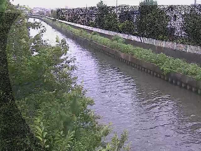 大平橋付近のカメラ画像