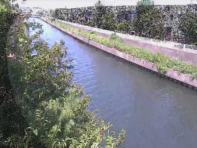 引地川 大平橋付近のカメラ画像