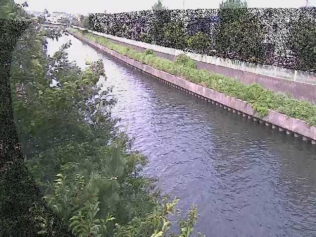 大平橋付近のカメラ画像