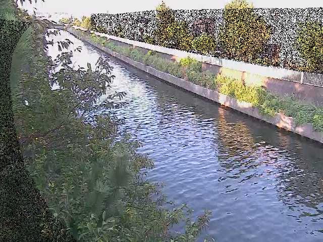 引地川 大平橋付近のカメラ画像