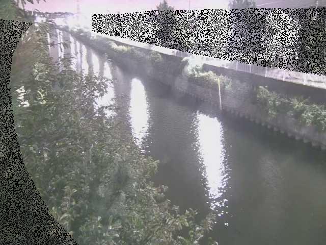 大平橋付近のカメラ画像