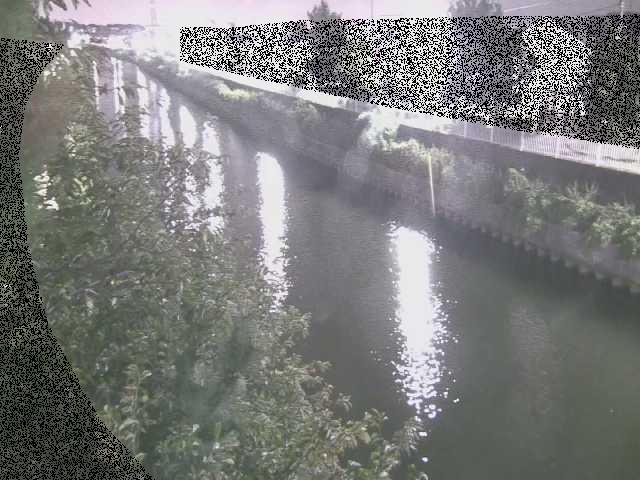 大平橋付近のカメラ画像