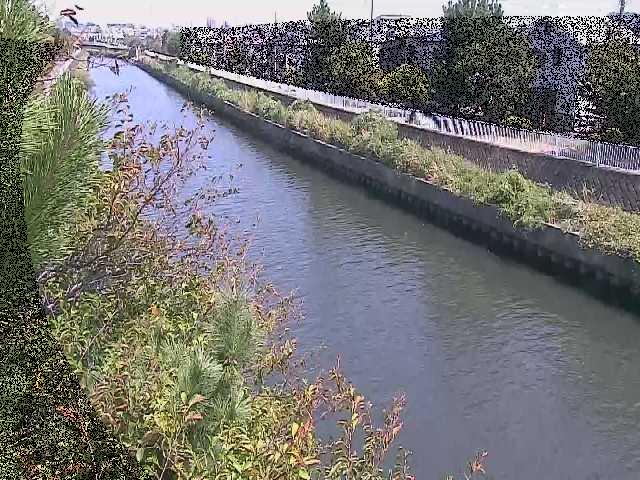 引地川 大平橋付近のカメラ画像