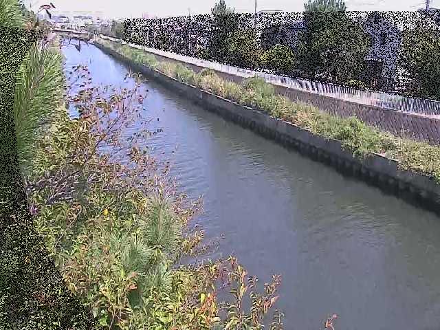 大平橋付近のカメラ画像