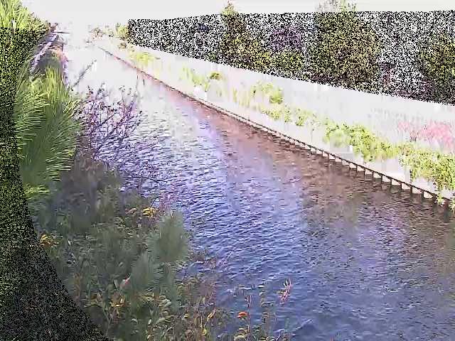 引地川 大平橋付近のカメラ画像