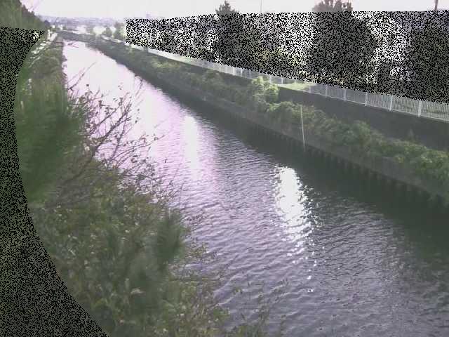 大平橋付近のカメラ画像