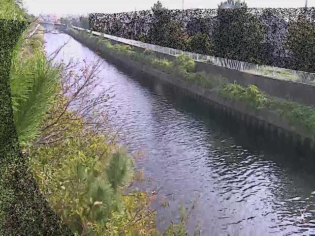 大平橋付近のカメラ画像