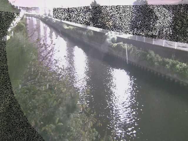 大平橋付近のカメラ画像