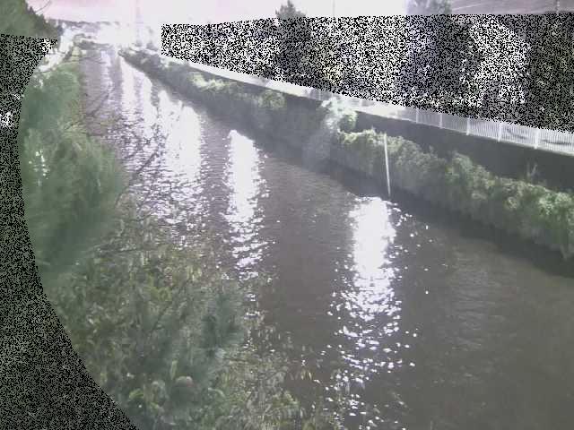 引地川 大平橋付近のカメラ画像