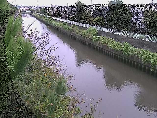 大平橋付近のカメラ画像