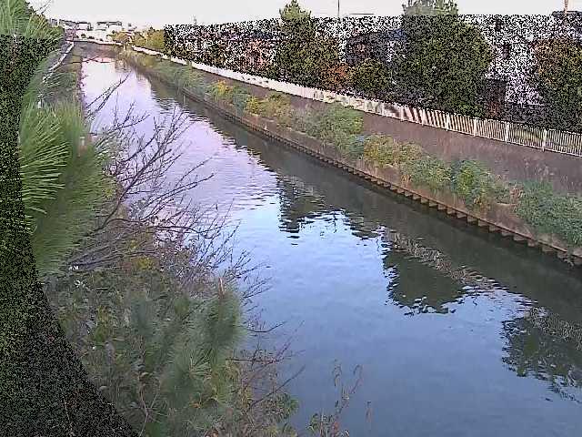 引地川 大平橋付近のカメラ画像